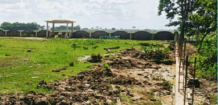 প্রধান উপদেষ্টা পদত্যাগ করবেন না: ফাইজ তাইয়েব আহমেদ