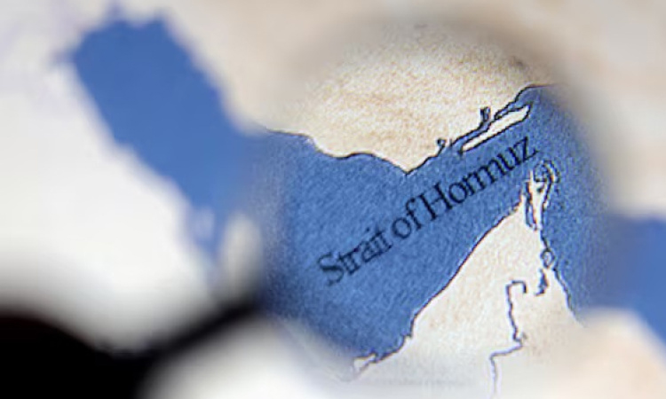 প্রধান উপদেষ্টা পদত্যাগ করবেন না: ফাইজ তাইয়েব আহমেদ