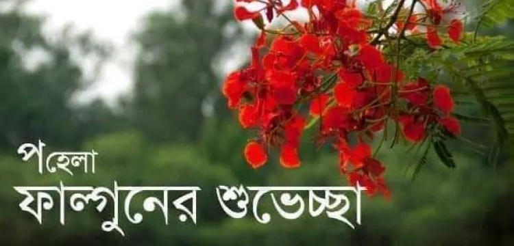 প্রধান উপদেষ্টা পদত্যাগ করবেন না: ফাইজ তাইয়েব আহমেদ