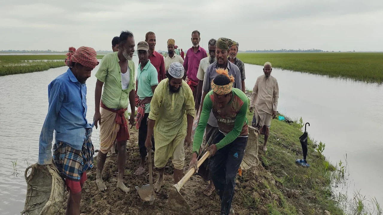 প্রধান উপদেষ্টা পদত্যাগ করবেন না: ফাইজ তাইয়েব আহমেদ