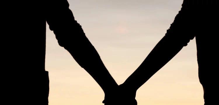 প্রধান উপদেষ্টা পদত্যাগ করবেন না: ফাইজ তাইয়েব আহমেদ