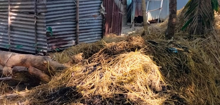 প্রধান উপদেষ্টা পদত্যাগ করবেন না: ফাইজ তাইয়েব আহমেদ