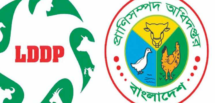 প্রধান উপদেষ্টা পদত্যাগ করবেন না: ফাইজ তাইয়েব আহমেদ