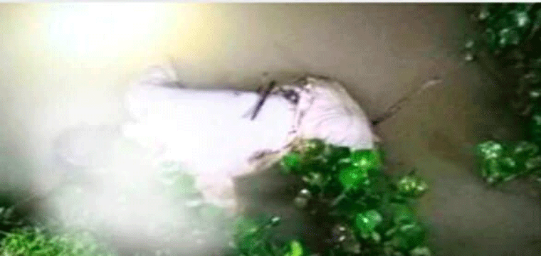 প্রধান উপদেষ্টা পদত্যাগ করবেন না: ফাইজ তাইয়েব আহমেদ