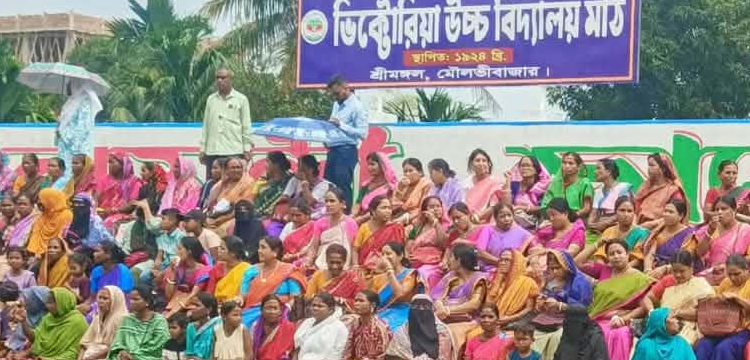 প্রধান উপদেষ্টা পদত্যাগ করবেন না: ফাইজ তাইয়েব আহমেদ