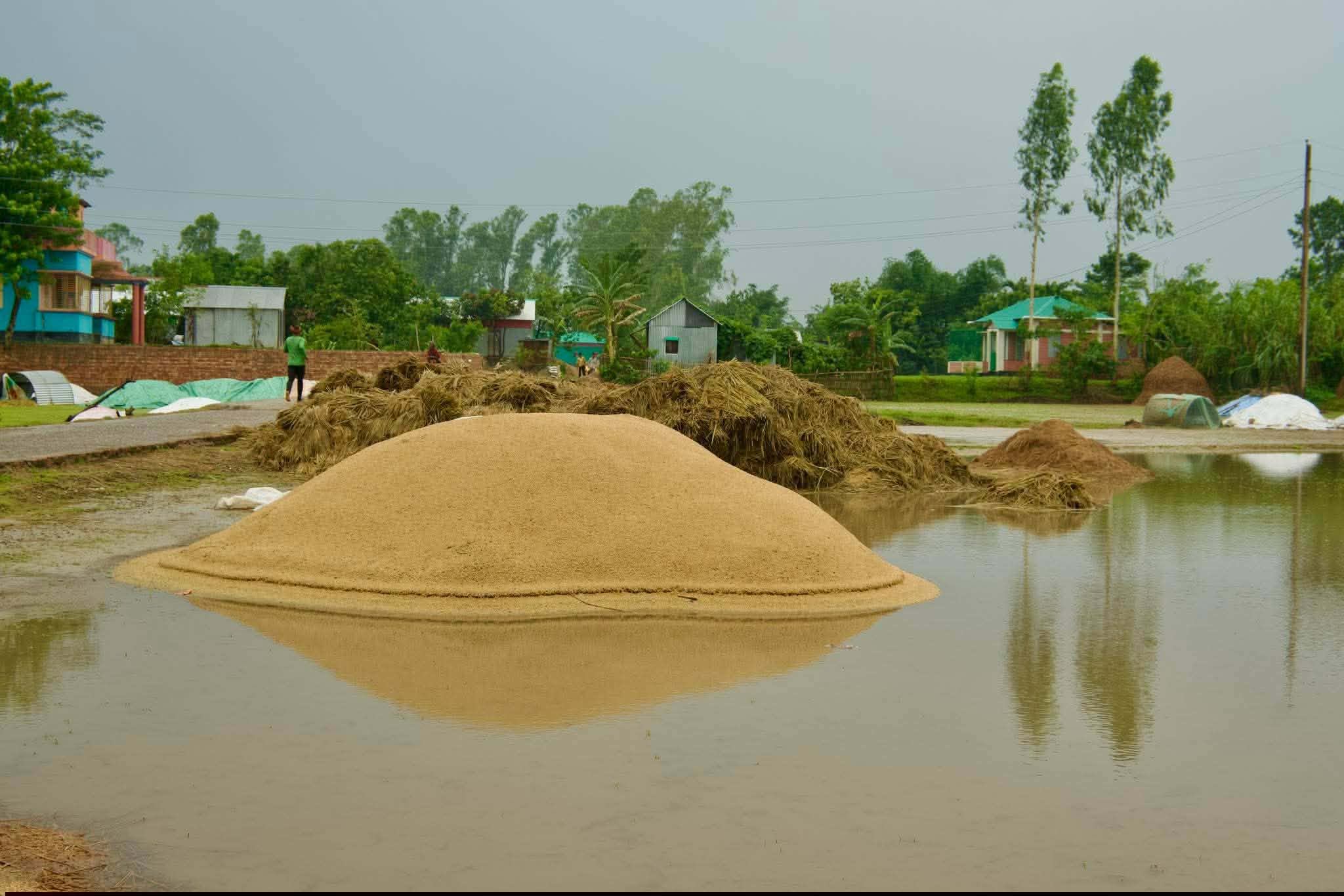 প্রধান উপদেষ্টা পদত্যাগ করবেন না: ফাইজ তাইয়েব আহমেদ
