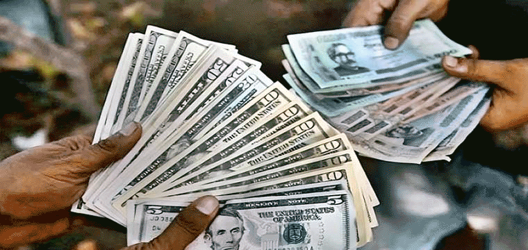 প্রধান উপদেষ্টা পদত্যাগ করবেন না: ফাইজ তাইয়েব আহমেদ