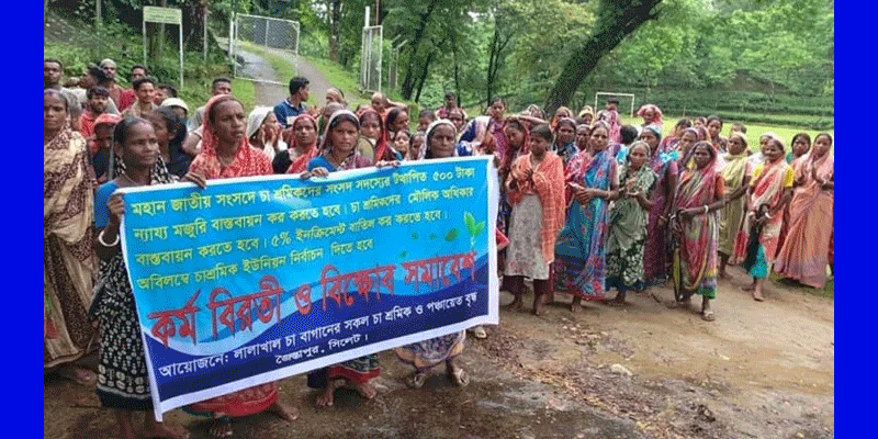 প্রধান উপদেষ্টা পদত্যাগ করবেন না: ফাইজ তাইয়েব আহমেদ