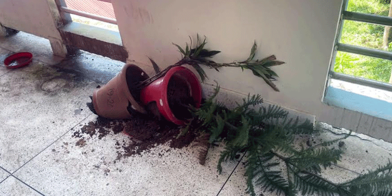 প্রধান উপদেষ্টা পদত্যাগ করবেন না: ফাইজ তাইয়েব আহমেদ