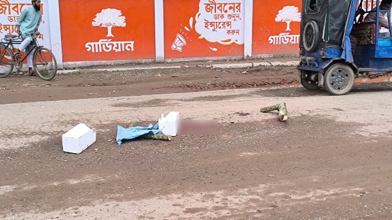 প্রধান উপদেষ্টা পদত্যাগ করবেন না: ফাইজ তাইয়েব আহমেদ