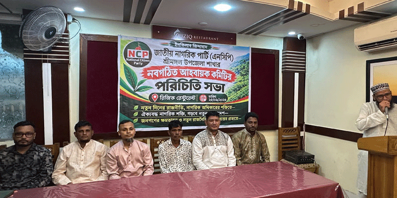 প্রধান উপদেষ্টা পদত্যাগ করবেন না: ফাইজ তাইয়েব আহমেদ