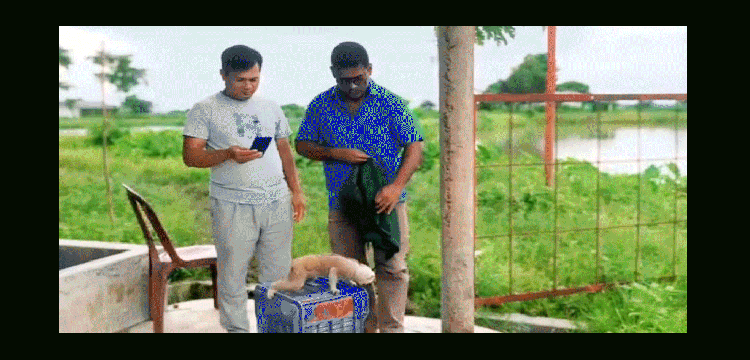 প্রধান উপদেষ্টা পদত্যাগ করবেন না: ফাইজ তাইয়েব আহমেদ