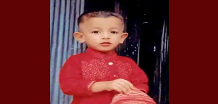 প্রধান উপদেষ্টা পদত্যাগ করবেন না: ফাইজ তাইয়েব আহমেদ