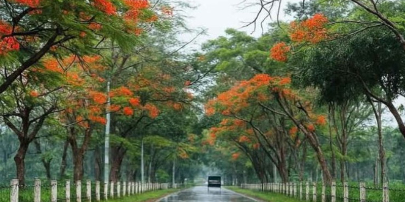 প্রধান উপদেষ্টা পদত্যাগ করবেন না: ফাইজ তাইয়েব আহমেদ