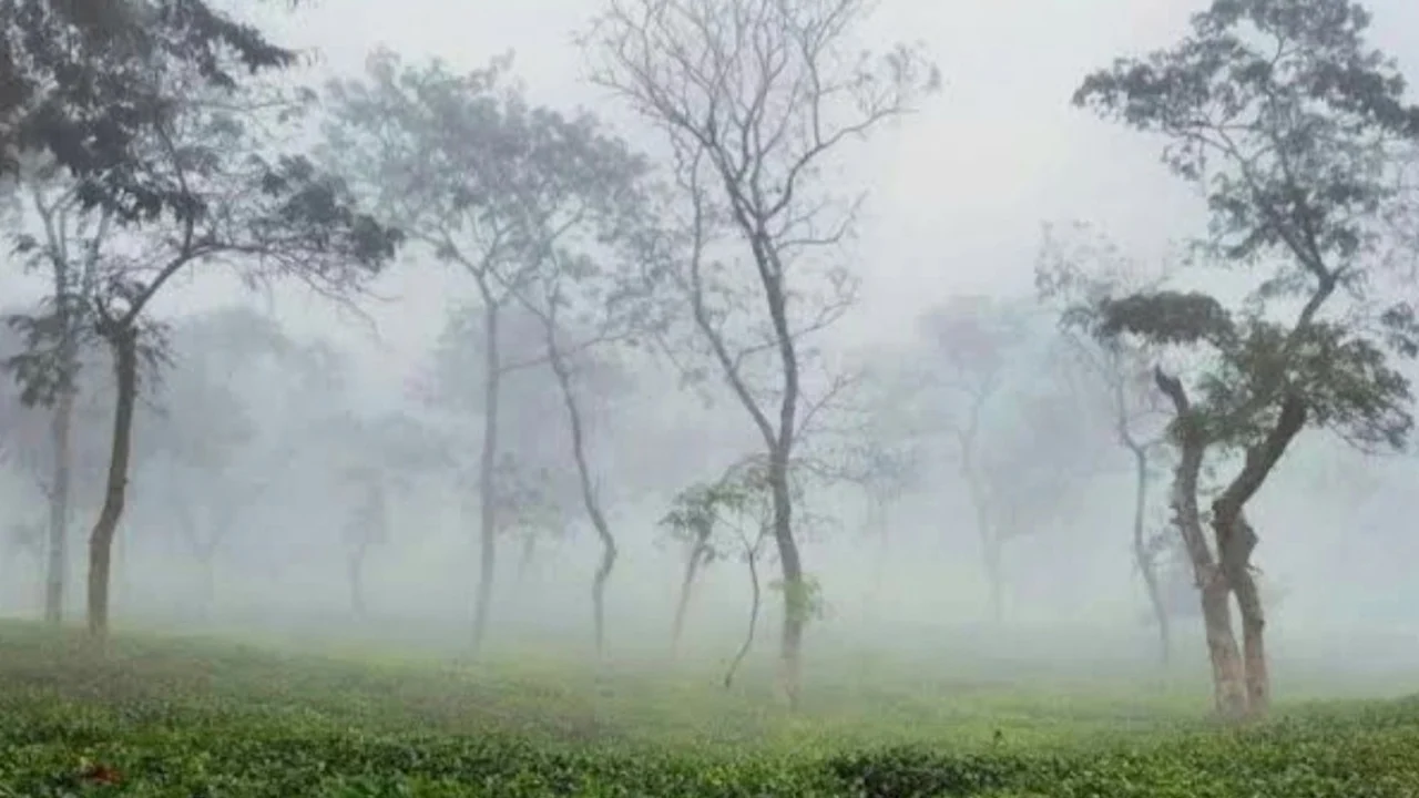 প্রধান উপদেষ্টা পদত্যাগ করবেন না: ফাইজ তাইয়েব আহমেদ