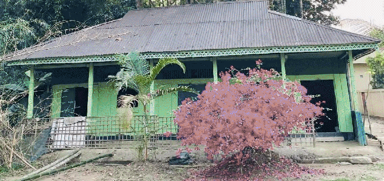 প্রধান উপদেষ্টা পদত্যাগ করবেন না: ফাইজ তাইয়েব আহমেদ