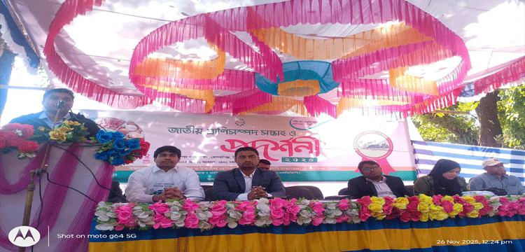 প্রধান উপদেষ্টা পদত্যাগ করবেন না: ফাইজ তাইয়েব আহমেদ