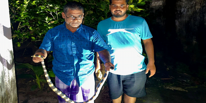 প্রধান উপদেষ্টা পদত্যাগ করবেন না: ফাইজ তাইয়েব আহমেদ