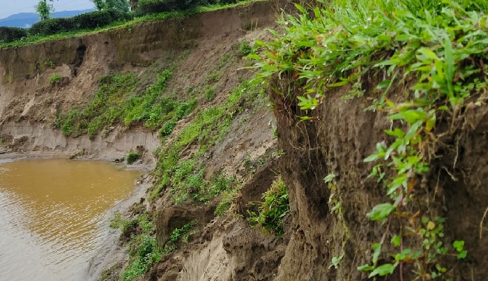 প্রধান উপদেষ্টা পদত্যাগ করবেন না: ফাইজ তাইয়েব আহমেদ