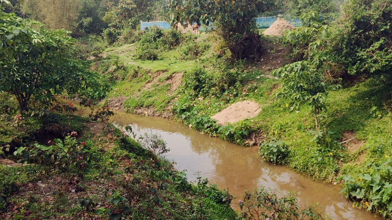 প্রধান উপদেষ্টা পদত্যাগ করবেন না: ফাইজ তাইয়েব আহমেদ
