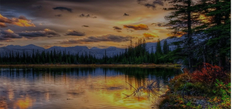 প্রধান উপদেষ্টা পদত্যাগ করবেন না: ফাইজ তাইয়েব আহমেদ