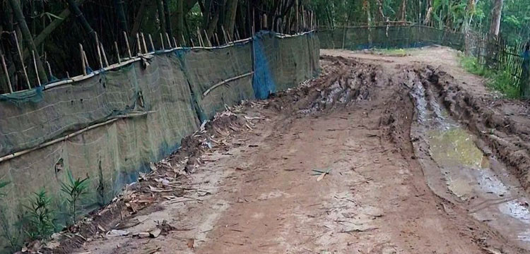 প্রধান উপদেষ্টা পদত্যাগ করবেন না: ফাইজ তাইয়েব আহমেদ