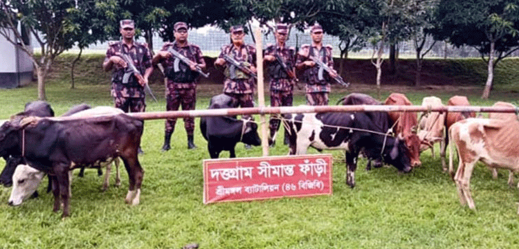 প্রধান উপদেষ্টা পদত্যাগ করবেন না: ফাইজ তাইয়েব আহমেদ