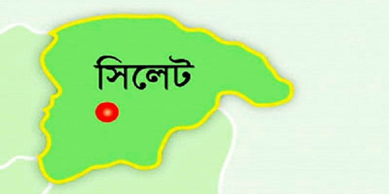 প্রধান উপদেষ্টা পদত্যাগ করবেন না: ফাইজ তাইয়েব আহমেদ