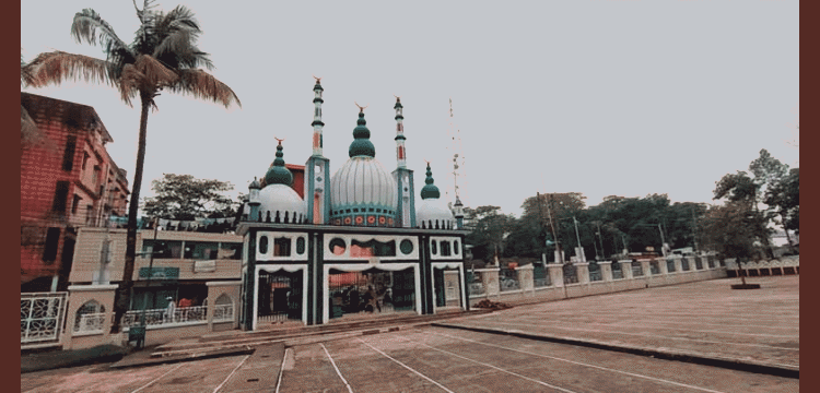 প্রধান উপদেষ্টা পদত্যাগ করবেন না: ফাইজ তাইয়েব আহমেদ