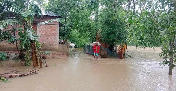 প্রধান উপদেষ্টা পদত্যাগ করবেন না: ফাইজ তাইয়েব আহমেদ
