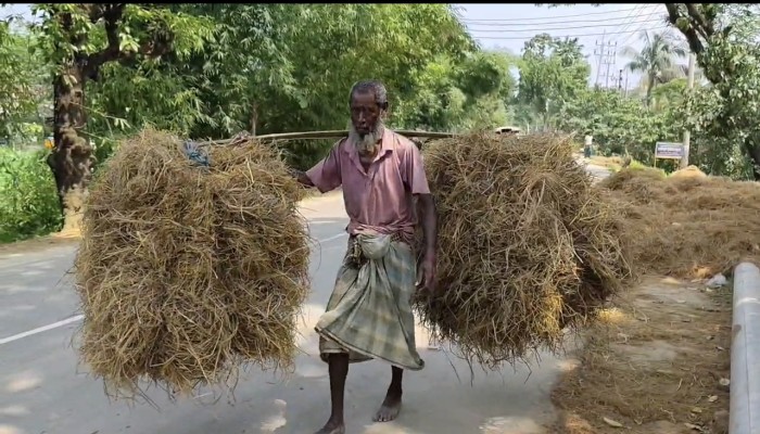 প্রধান উপদেষ্টা পদত্যাগ করবেন না: ফাইজ তাইয়েব আহমেদ