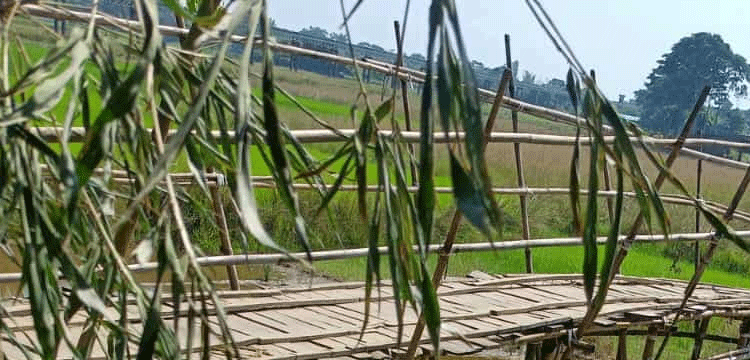 প্রধান উপদেষ্টা পদত্যাগ করবেন না: ফাইজ তাইয়েব আহমেদ