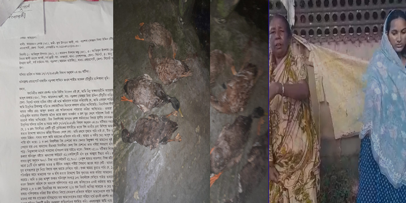 প্রধান উপদেষ্টা পদত্যাগ করবেন না: ফাইজ তাইয়েব আহমেদ