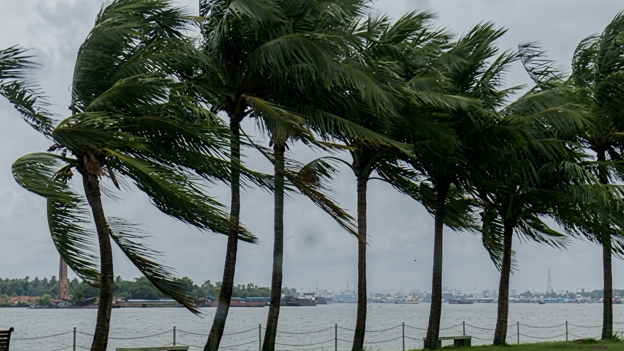প্রধান উপদেষ্টা পদত্যাগ করবেন না: ফাইজ তাইয়েব আহমেদ