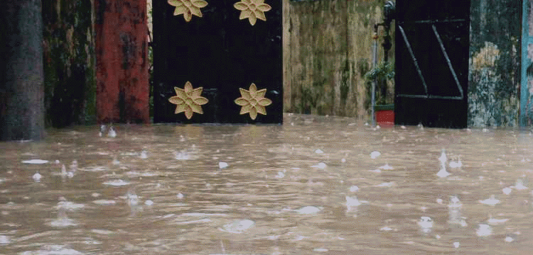 প্রধান উপদেষ্টা পদত্যাগ করবেন না: ফাইজ তাইয়েব আহমেদ