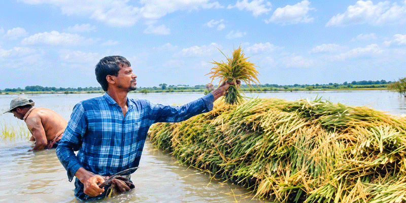 প্রধান উপদেষ্টা পদত্যাগ করবেন না: ফাইজ তাইয়েব আহমেদ