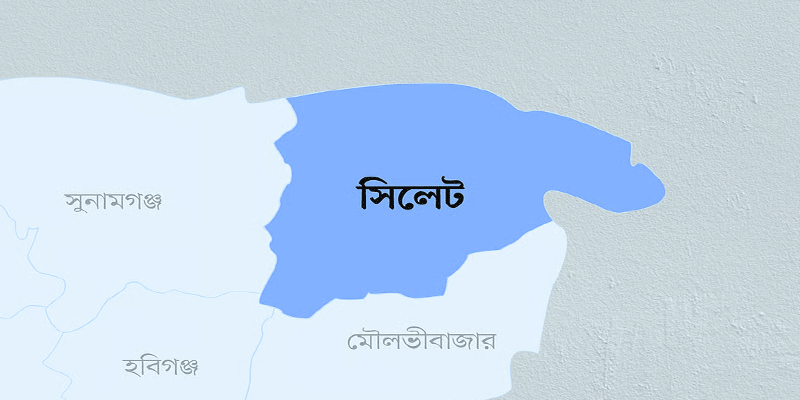 প্রধান উপদেষ্টা পদত্যাগ করবেন না: ফাইজ তাইয়েব আহমেদ