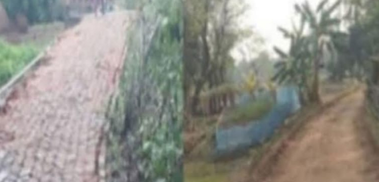 প্রধান উপদেষ্টা পদত্যাগ করবেন না: ফাইজ তাইয়েব আহমেদ