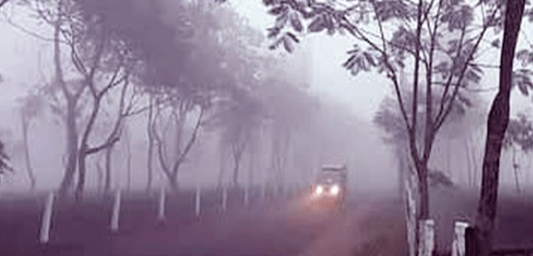 প্রধান উপদেষ্টা পদত্যাগ করবেন না: ফাইজ তাইয়েব আহমেদ