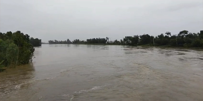 প্রধান উপদেষ্টা পদত্যাগ করবেন না: ফাইজ তাইয়েব আহমেদ
