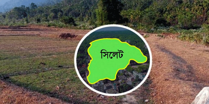 প্রধান উপদেষ্টা পদত্যাগ করবেন না: ফাইজ তাইয়েব আহমেদ