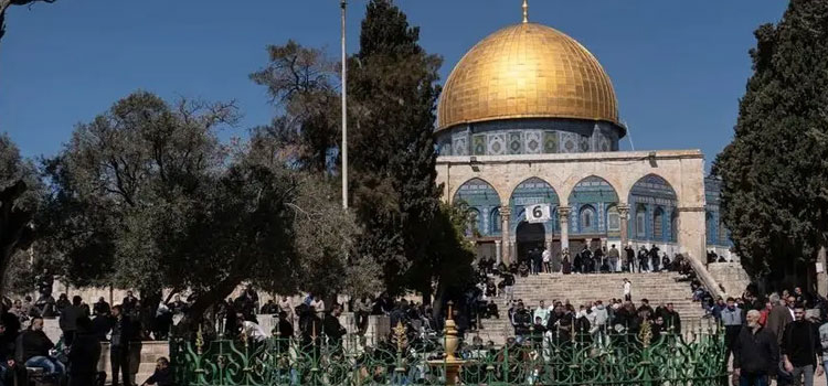 প্রধান উপদেষ্টা পদত্যাগ করবেন না: ফাইজ তাইয়েব আহমেদ