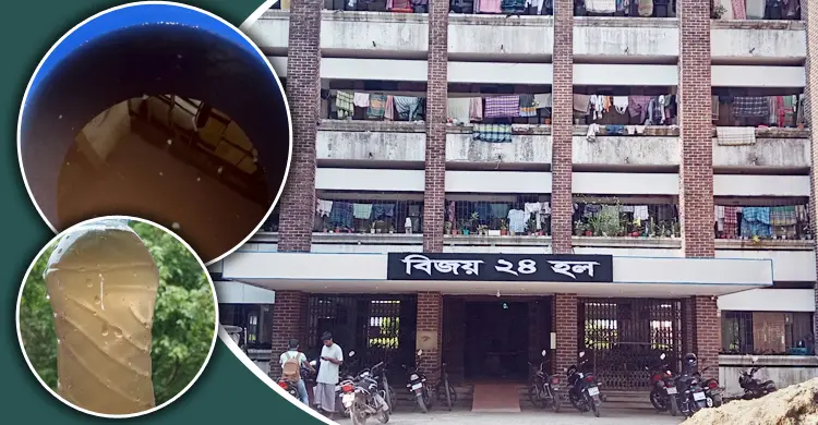 প্রধান উপদেষ্টা পদত্যাগ করবেন না: ফাইজ তাইয়েব আহমেদ