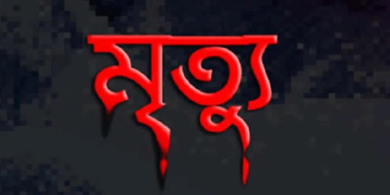 প্রধান উপদেষ্টা পদত্যাগ করবেন না: ফাইজ তাইয়েব আহমেদ