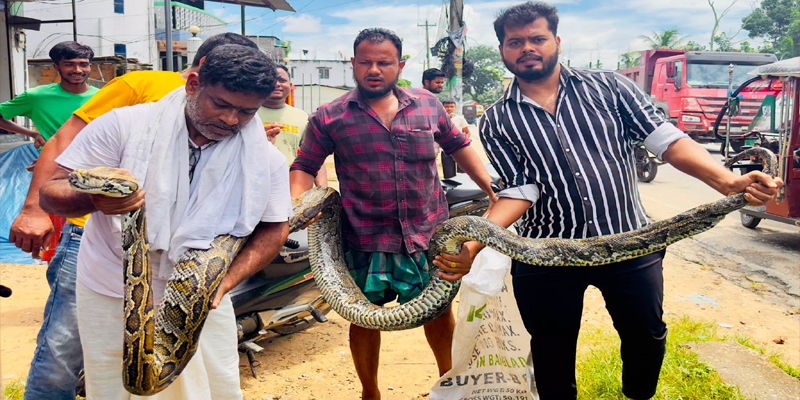 প্রধান উপদেষ্টা পদত্যাগ করবেন না: ফাইজ তাইয়েব আহমেদ