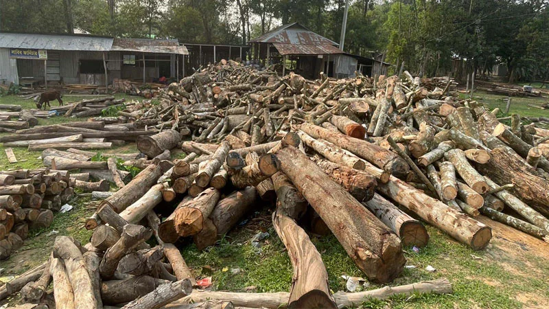 প্রধান উপদেষ্টা পদত্যাগ করবেন না: ফাইজ তাইয়েব আহমেদ