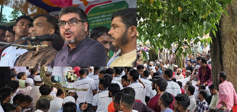 প্রধান উপদেষ্টা পদত্যাগ করবেন না: ফাইজ তাইয়েব আহমেদ