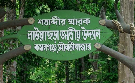 প্রধান উপদেষ্টা পদত্যাগ করবেন না: ফাইজ তাইয়েব আহমেদ