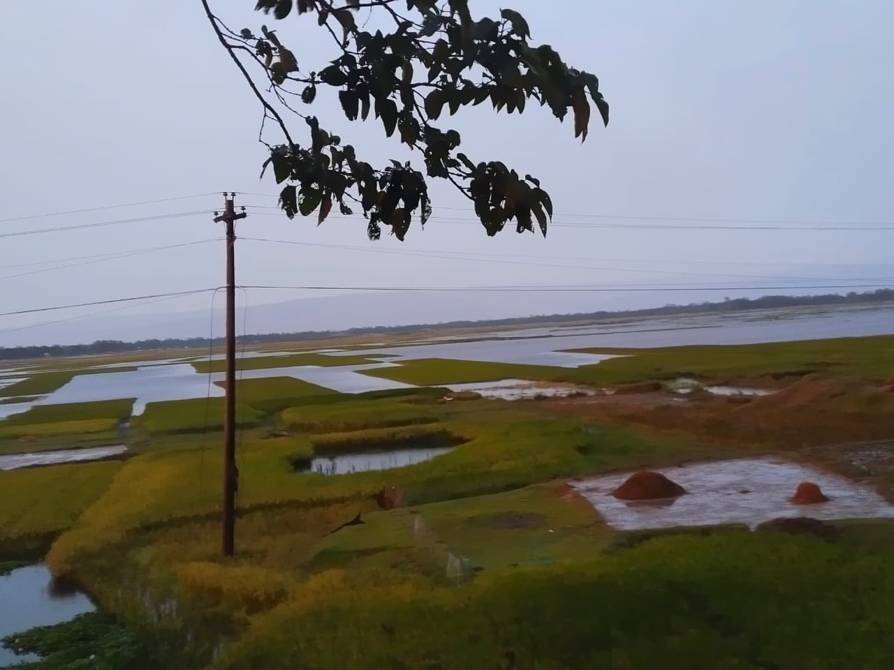 প্রধান উপদেষ্টা পদত্যাগ করবেন না: ফাইজ তাইয়েব আহমেদ