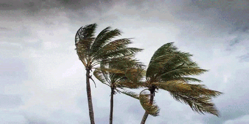 প্রধান উপদেষ্টা পদত্যাগ করবেন না: ফাইজ তাইয়েব আহমেদ